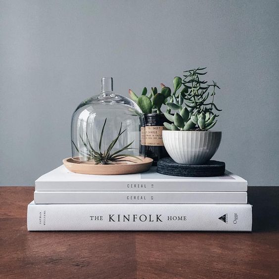 Deccan Decor - Books & Planters
